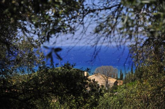 Земельный участок в Корфу