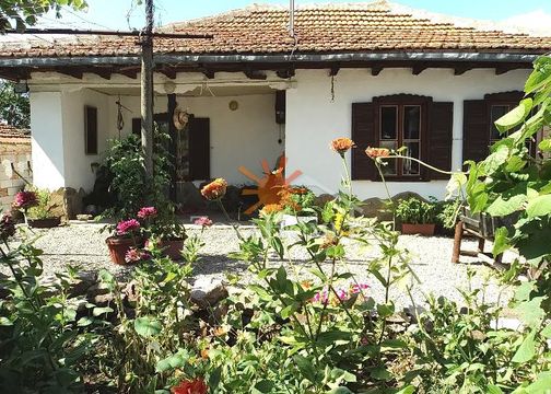 Отдельный дом в Ямбол