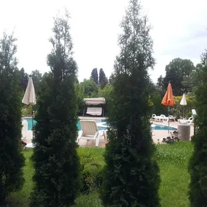 Квартира в Солнечный берег, фото 3