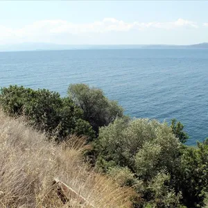 Земельный участок в Aristotle University of Thessaloniki, фото 4