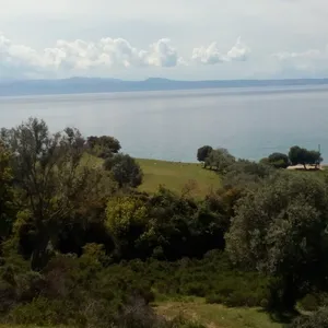 Земельный участок в Aristotle University of Thessaloniki, фото 4