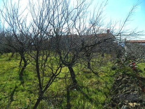 Земельный участок в Хрватини