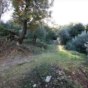 Земельный участок в Corfu, фото 4