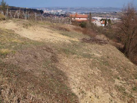 Земельный участок в Копер