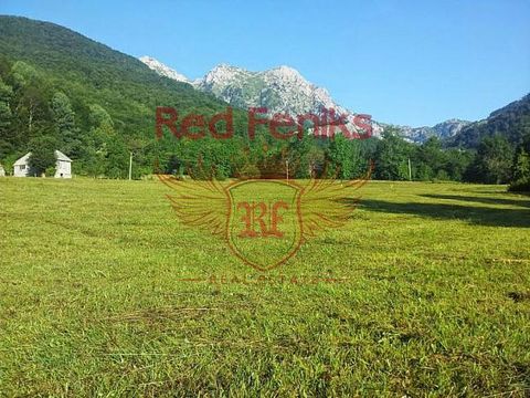 Земельный участок в Колашин