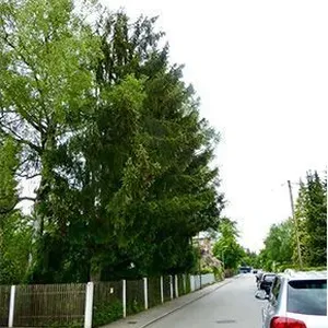 Квартира в Мюнхен, фото 4