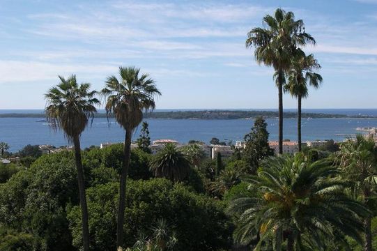 Квартира в Канны