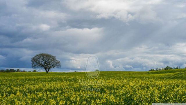 Земельный участок в Аликанте