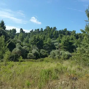 Земельный участок в Kassandra Municipality, фото 2