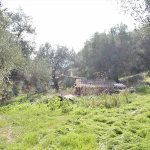 Земельный участок в Kassandra Municipality, фото 3