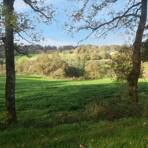 Дом в Nouvelle-Aquitaine, фото 4