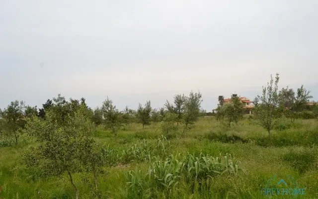 Земельный участок в Корфу