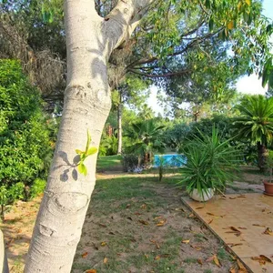 Вилла в Богелла, фото 5