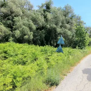Земельный участок в Corfu, фото 4