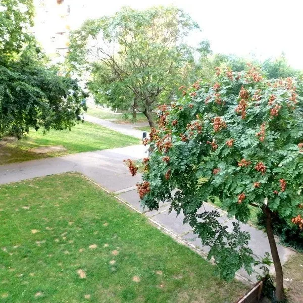 Квартира в Будапешт, фото 1