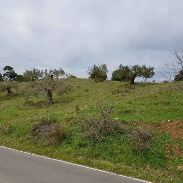 Земельный участок в Kassandra Municipality, фото 1