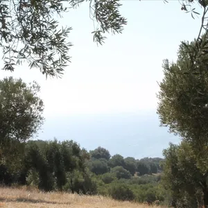Земельный участок в Kassandra Municipality, фото 5