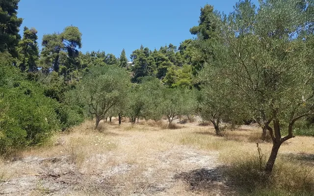 Земельный участок в Kassandra Municipality