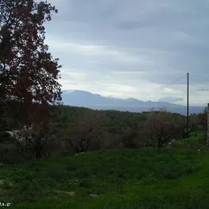 Земельный участок в Геракари, фото 3