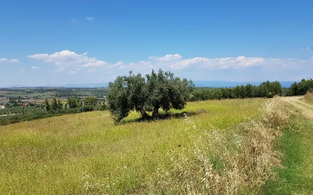 Земельный участок в Kassandra Municipality