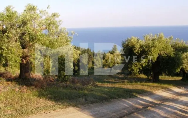 Земельный участок в Каллифея (Кассандра)