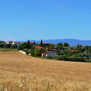 Земельный участок в Kassandra Municipality, фото 3