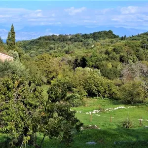 Земельный участок в Corfu, фото 2