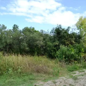 Земельный участок в Kassandra Municipality, фото 2