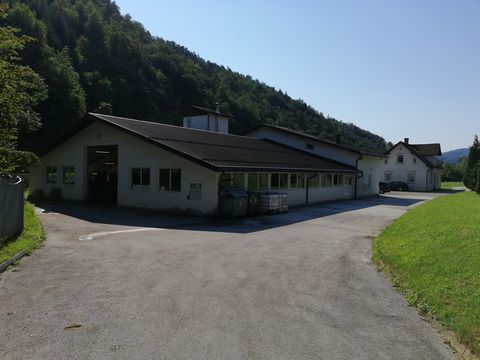 Коммерческая недвижимость в Севница