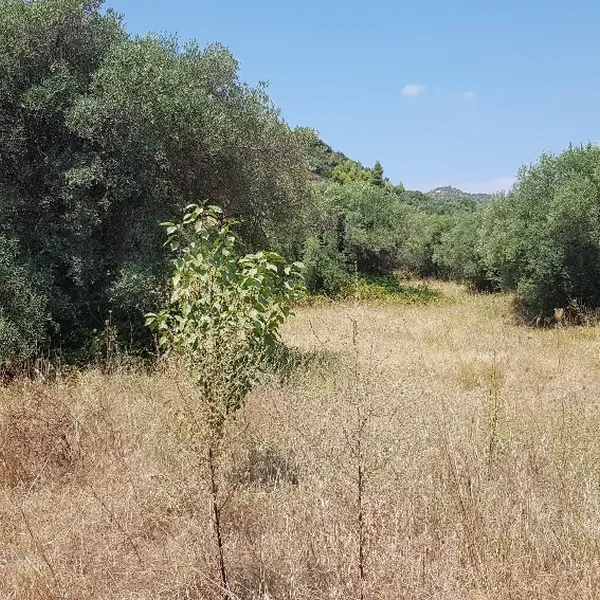 Земельный участок в Kassandra Municipality, фото 1