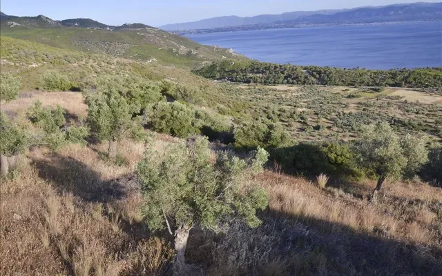 Земельный участок в Loutraki - Perachora