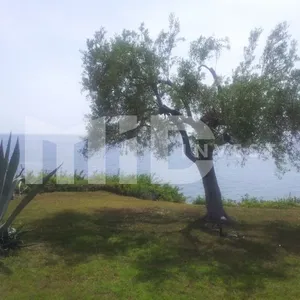 Вилла в Ситониа, фото 2