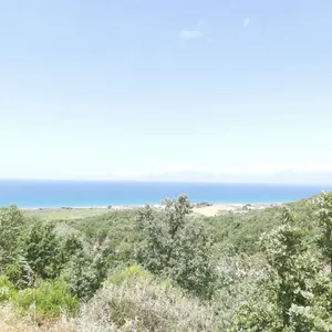 Земельный участок в Corfu, фото 2