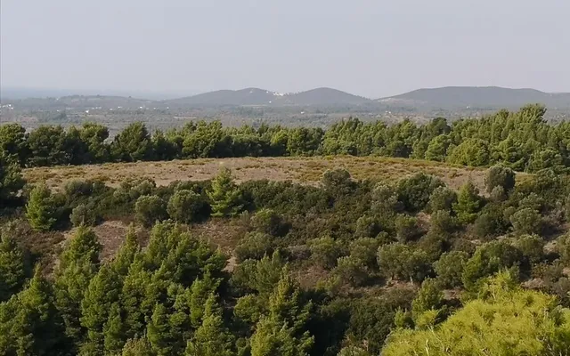 Земельный участок в Ситониа