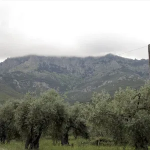 Земельный участок в Тасос, фото 5