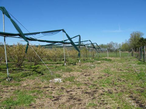 Ферма в Врхника