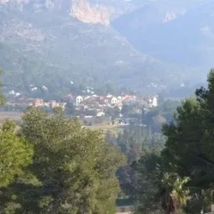 Вилла в Педрегер, фото 2