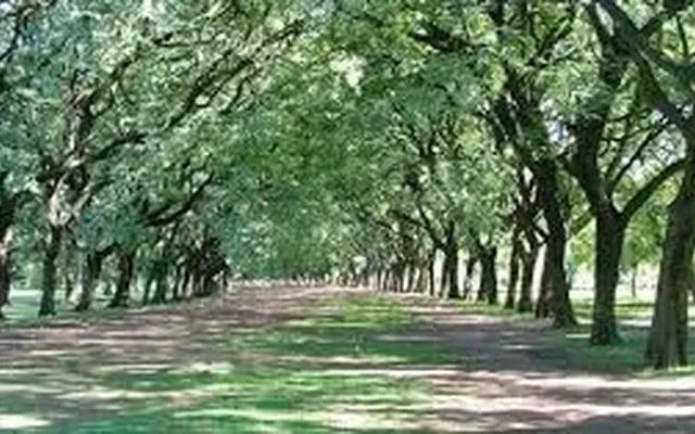 Квартира в Барселона