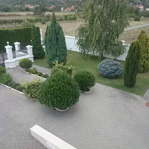 Вилла в Подгорица, фото 2