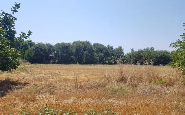 Земельный участок в Kassandra Municipality