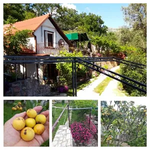 Отдельный дом в Сутоморе, фото 3