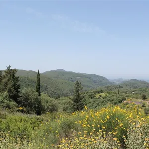 Земельный участок в Corfu, фото 2