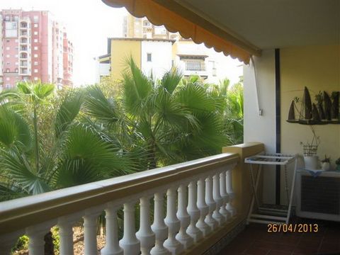 Квартира в Торревьеха