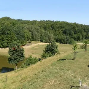 Дом в Птуй, фото 5