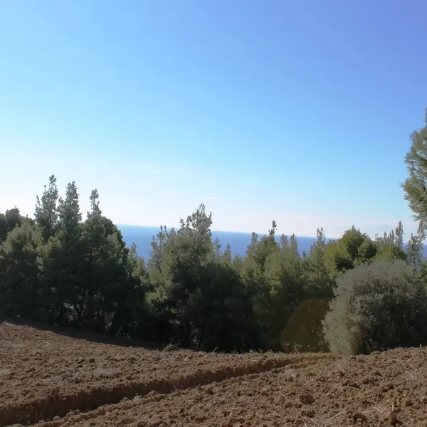 Земельный участок в Kassandra Municipality, фото 1