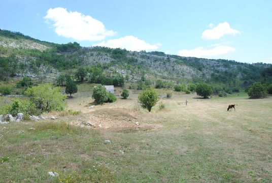 Земельный участок в Никшич