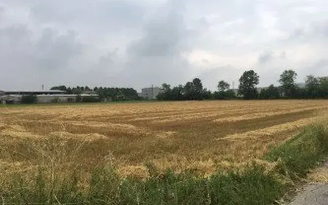 Земельный участок в Аццано-Сан-Паоло