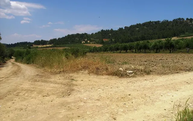 Земельный участок в Kassandra Municipality