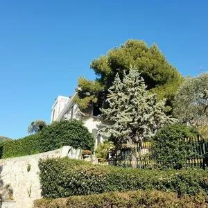 Вилла в Бордигера, фото 4