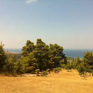 Земельный участок в Kassandra Municipality, фото 3